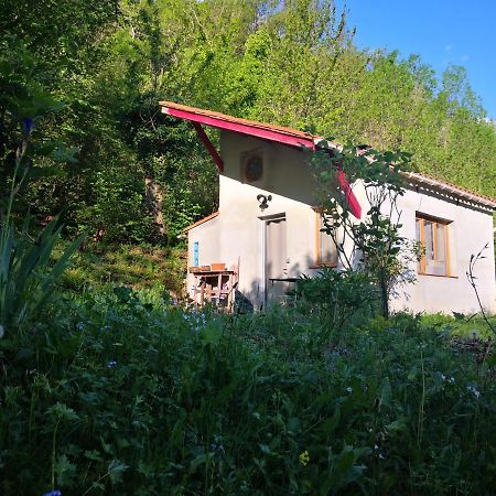 Font-Fresca Location Villa Baillestavy Exterior foto